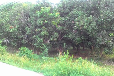 Land in San Sai, Thailand 3860 sq.m. № 153115 - photo 5