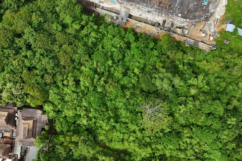 Terrain à Phuket, Thaïlande 3200 m2 № 151159 - photo 22