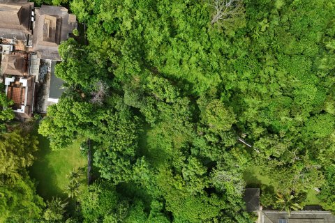 Terrain à Phuket, Thaïlande 3200 m2 № 151159 - photo 21