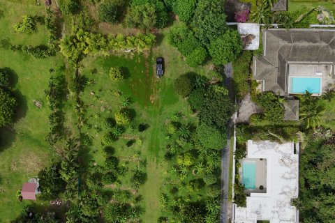 Terrain à Phuket, Thaïlande 3200 m2 № 151159 - photo 19