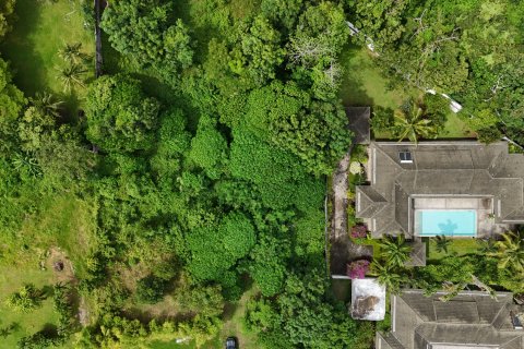 Terrain à Phuket, Thaïlande 3200 m2 № 151159 - photo 20