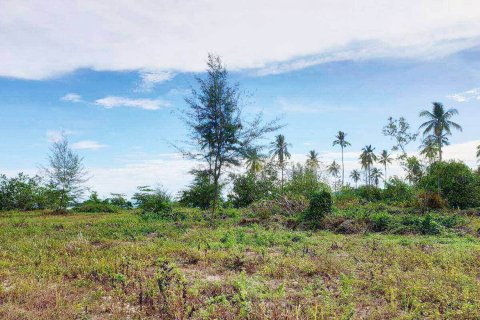 Земельный участок в Пхангнге, Таиланд 1636800м2  № 147250 - фото 3