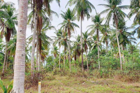 Земельный участок в Пхангнге, Таиланд 1636800м2  № 147250 - фото 5