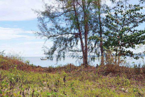 Земельный участок в Пхангнге, Таиланд 1636800м2  № 147250 - фото 6