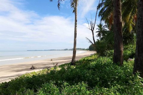 Земельный участок в Пхангнге, Таиланд 1636800м2  № 147250 - фото 2