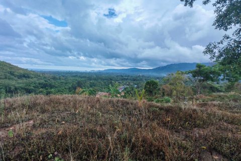 Terrain à Ko Samui, Thaïlande 96000 m2 № 147256 - photo 5