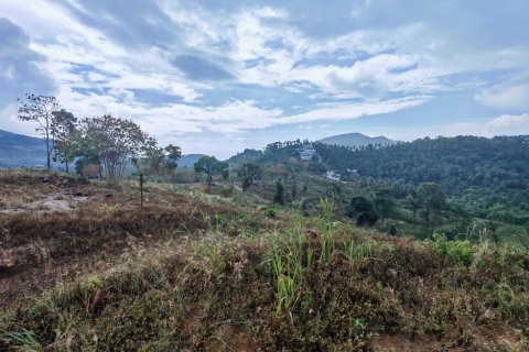 Terrain à Ko Samui, Thaïlande 96000 m2 № 147256 - photo 2