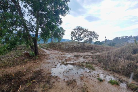 Terrain à Ko Samui, Thaïlande 96000 m2 № 147256 - photo 3