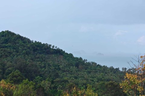 Terrain à Ko Samui, Thaïlande 96000 m2 № 147256 - photo 11