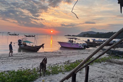 Земельный участок в Самуи, Таиланд 636м2  № 158076 - фото 16