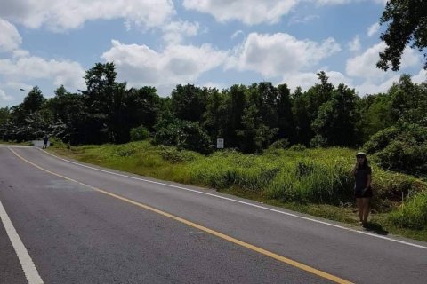 Land in Phang Nga, Thailand 2760 sq.m. № 140464 - photo 5