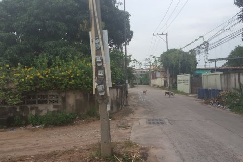 Terrain à Pattaya, Thaïlande 932 m2 № 158189 - photo 5