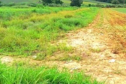 Land in Rayong, Thailand 33600 sq.m. № 158188 - photo 6