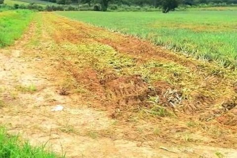 Land in Rayong, Thailand 33600 sq.m. № 158188 - photo 5