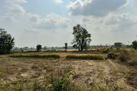 Земельный участок в Накхонратчасиме, Таиланд 32000м2 № 173267 - фото 6