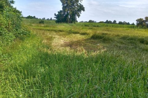 Земельный участок в Накхонратчасиме, Таиланд 32000м2 № 173267 - фото 3