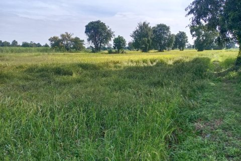 Земельный участок в Накхонратчасиме, Таиланд 32000м2 № 173267 - фото 2