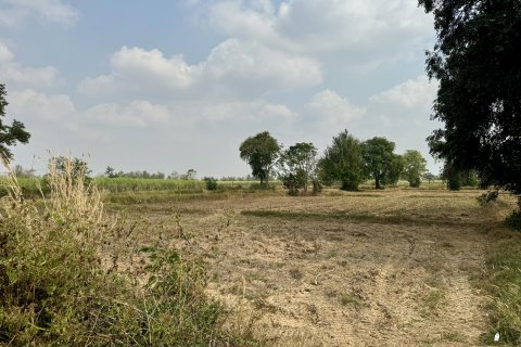Земельный участок в Накхонратчасиме, Таиланд 32000м2 № 173267 - фото 7