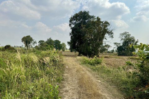 Земельный участок в Накхонратчасиме, Таиланд 32000м2 № 173267 - фото 5