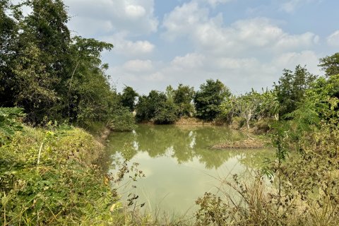 Земельный участок в Накхонратчасиме, Таиланд 32000м2 № 173267 - фото 4