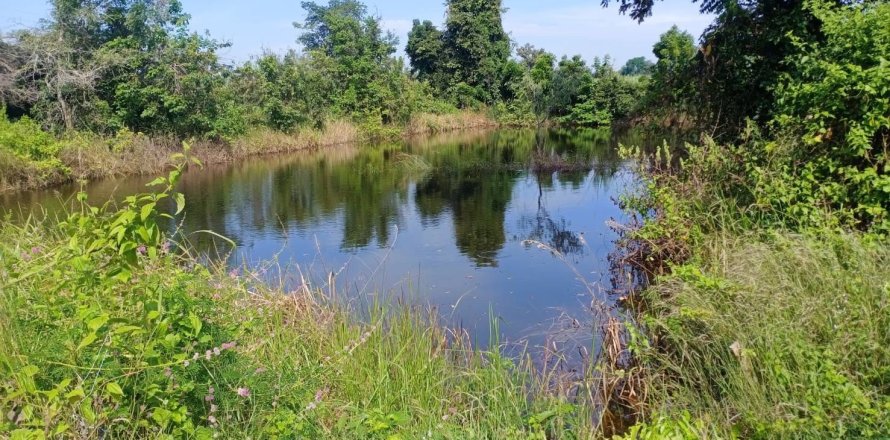 Земельный участок в Накхонратчасиме, Таиланд 32000м2 № 173267