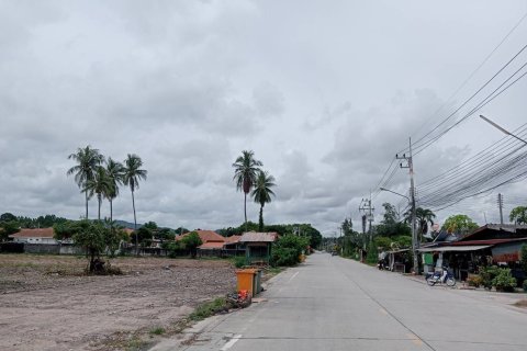 Land in Rayong, Thailand 9600 sq.m. № 159217 - photo 4