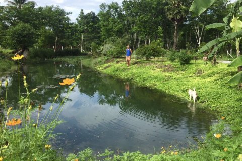 House in Kanchanaburi, Thailand 2 bedrooms № 159214 - photo 6