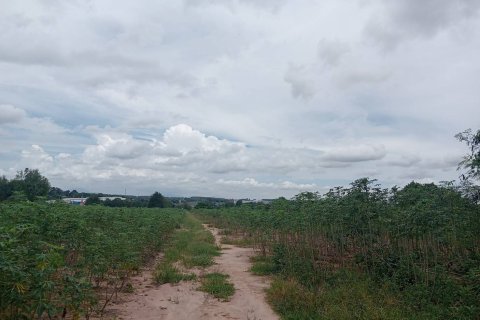 Land in Rayong, Thailand 38400 sq.m. № 159216 - photo 5