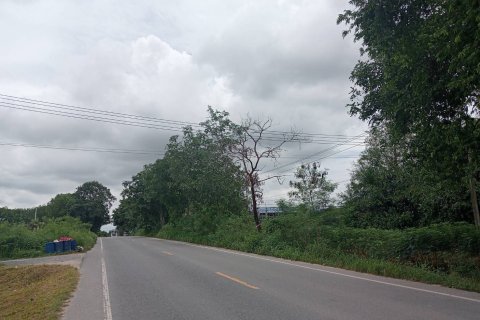 Land in Rayong, Thailand 38400 sq.m. № 159216