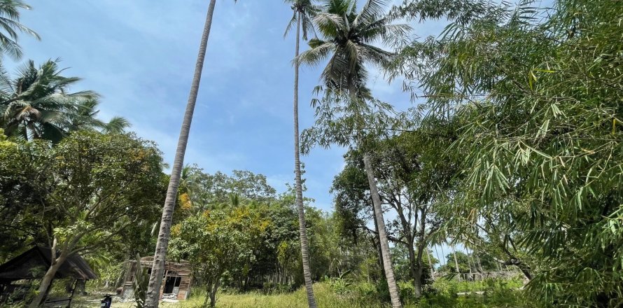 Студия в Самуй, Таиланд № 172426