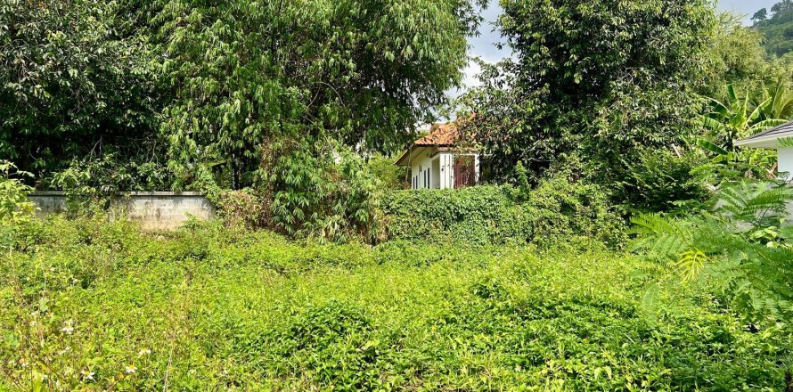 Studio à Ko Samui, Thaïlande № 172425