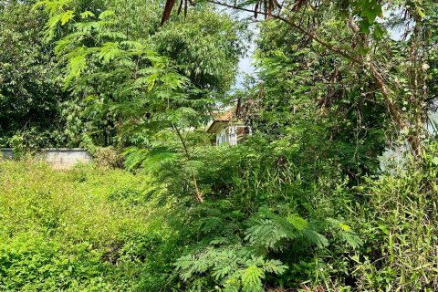 Studio à Ko Samui, Thaïlande № 172425 - photo 2