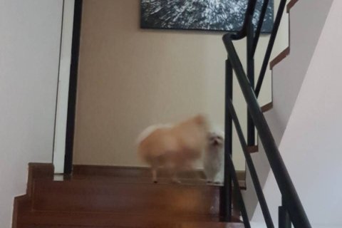 Maison à Pattaya, Thaïlande 3 chambres № 171884 - photo 16