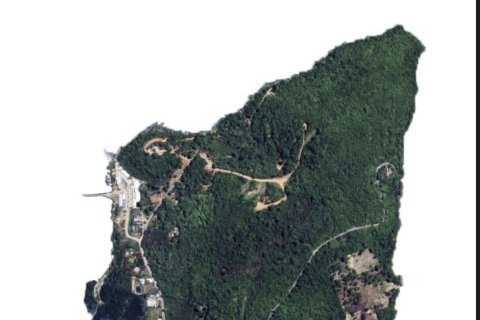 Земельный участок в Пхукете, Таиланд 126180м2  № 154028 - фото 8