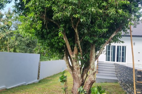 Вилла в Чианграе, Таиланд с 3 спальнями  № 154031 - фото 28