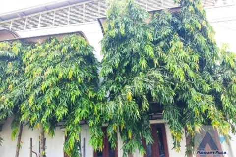 Reihenhaus in Bang Na, Bangkok, Thailand 3 Schlafzimmer № 216841 - Foto 25