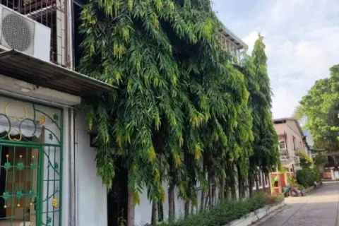 Reihenhaus in Bang Na, Bangkok, Thailand 3 Schlafzimmer № 216841 - Foto 27