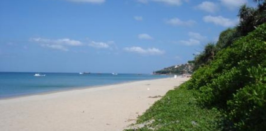 Land in Ko Lanta Yai, Thailand 132800 sq.m. № 202436