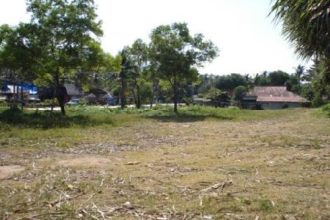 Land in Ko Lanta Yai, Thailand 132800 sq.m. № 202436 - photo 4