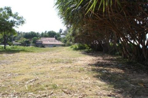 Land in Ko Lanta Yai, Thailand 132800 sq.m. № 202436 - photo 3