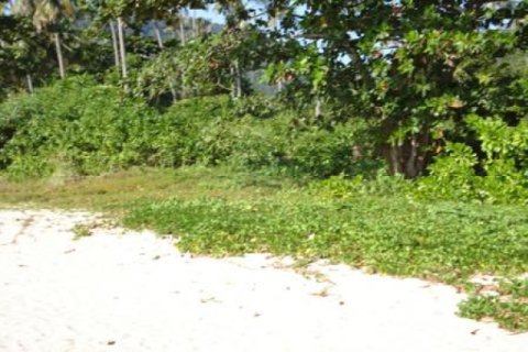 Land in Ko Lanta Yai, Thailand 86400 sq.m. № 202438 - photo 4