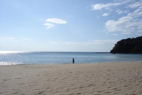 Land in Ko Lanta Yai, Thailand 86400 sq.m. № 202438