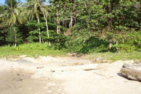Land in Ko Lanta Yai, Thailand 97600 sq.m. № 202437 - photo 3