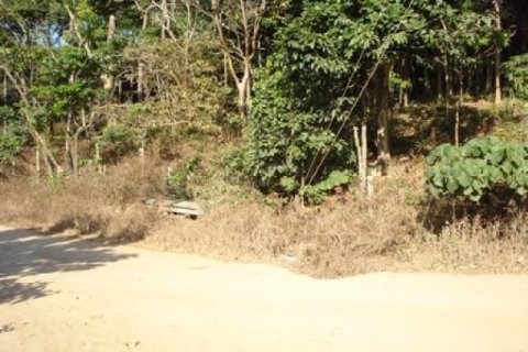 Land in Ko Lanta Yai, Thailand 97600 sq.m. № 202437 - photo 5