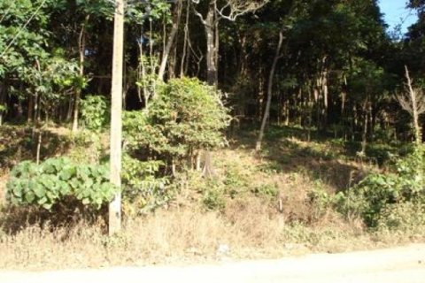 Land in Ko Lanta Yai, Thailand 97600 sq.m. № 202437 - photo 4