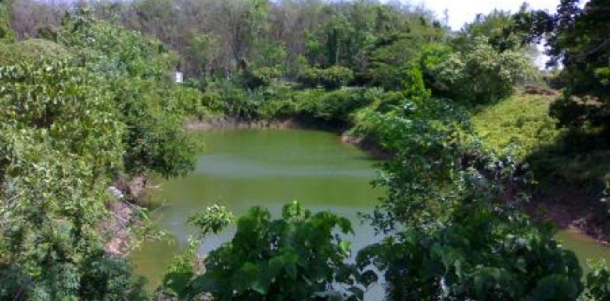 ที่ดินในภูเก็ต, ประเทศไทย 14400 ตร.ม. № 202441