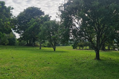 Villa in Chiang Rai, Thailand 3 bedrooms № 149759 - photo 24