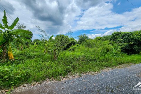 Земельный участок в Чиангмае, Таиланд № 122804 - фото 4