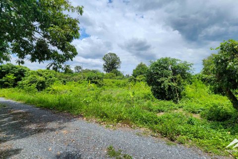 Земельный участок в Чиангмае, Таиланд № 122804 - фото 5