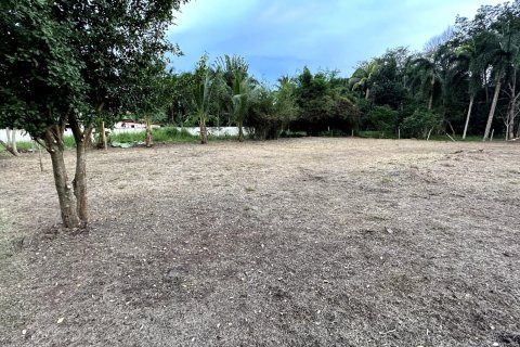 Terrain à Pa Klok, Thaïlande 1256 m2 № 161217 - photo 6